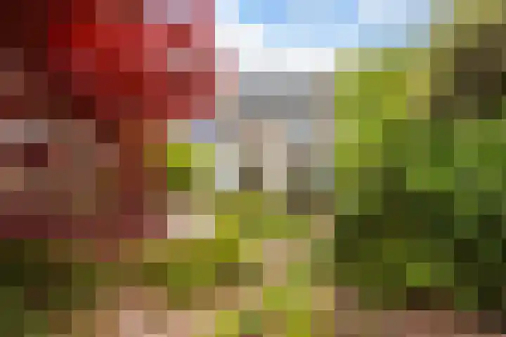 Ten Veldestraat 15 De Meern thumbnail 19