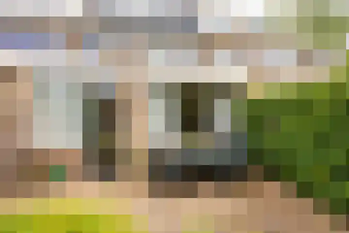 Ten Veldestraat 15 De Meern thumbnail 20