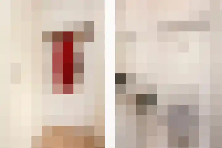 Ten Veldestraat 15 De Meern thumbnail 25
