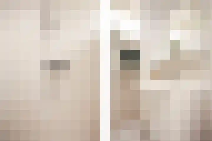 Ten Veldestraat 15 De Meern thumbnail 36