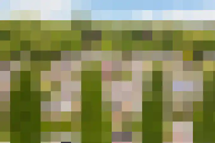 Ten Veldestraat 15 De Meern thumbnail 45