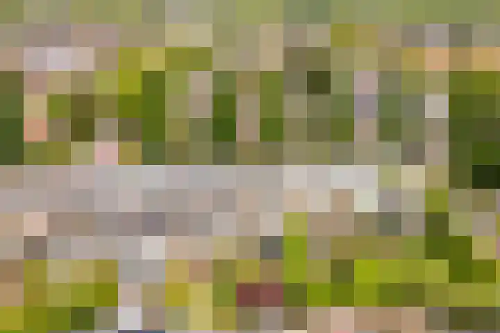 Ten Veldestraat 15 De Meern thumbnail 46
