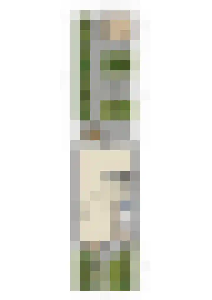Ten Veldestraat 15 De Meern thumbnail 49