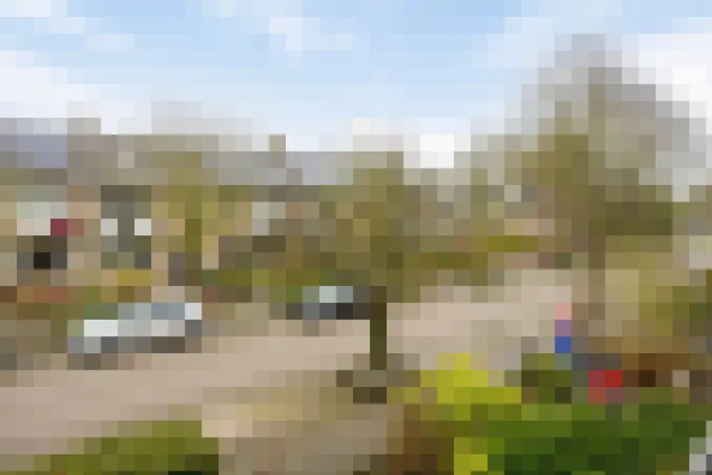 Ten Veldestraat 65 De Meern thumbnail 24