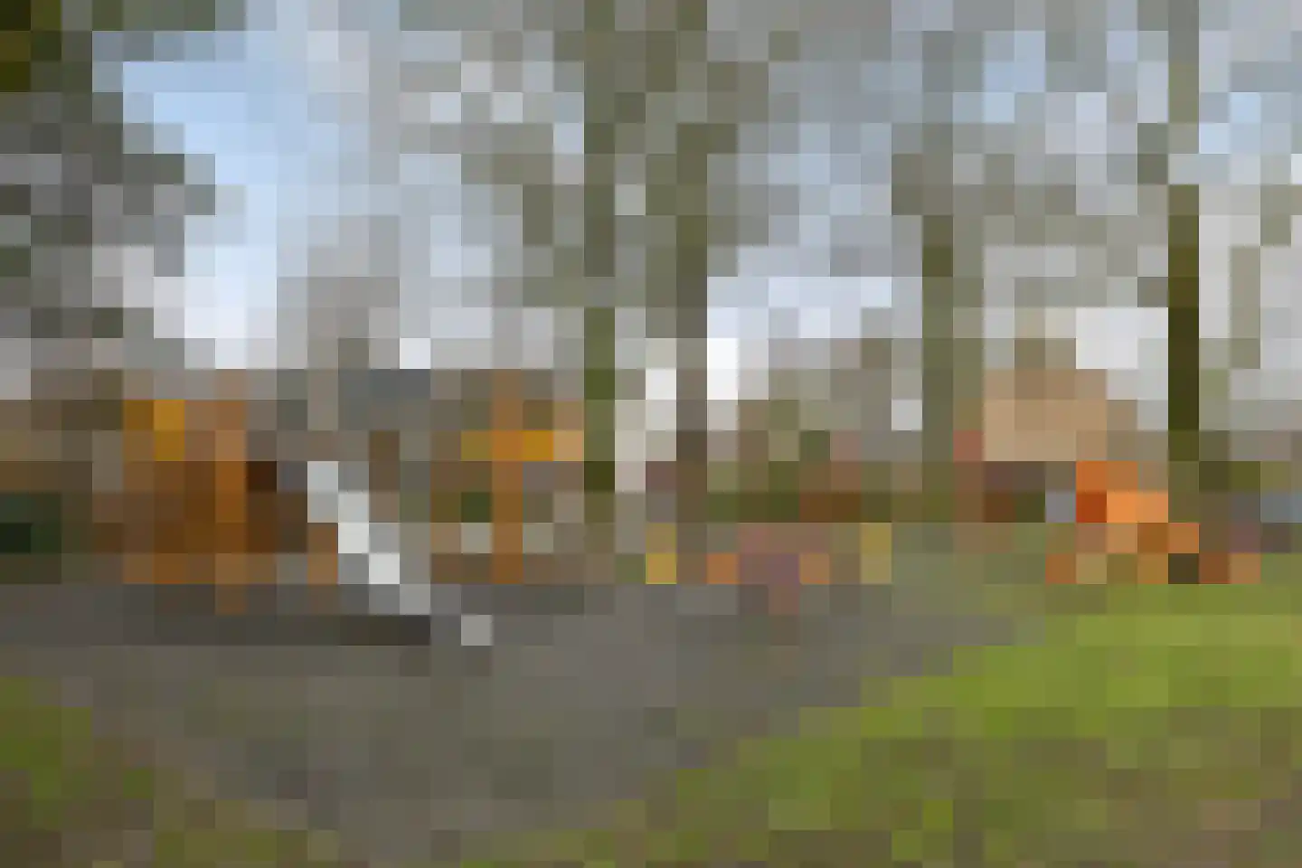 Ten Veldestraat 65 De Meern thumbnail 40