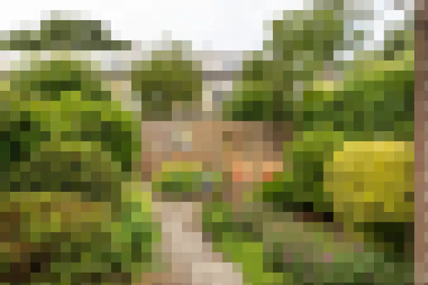 Ten Veldestraat 75 De Meern thumbnail 11