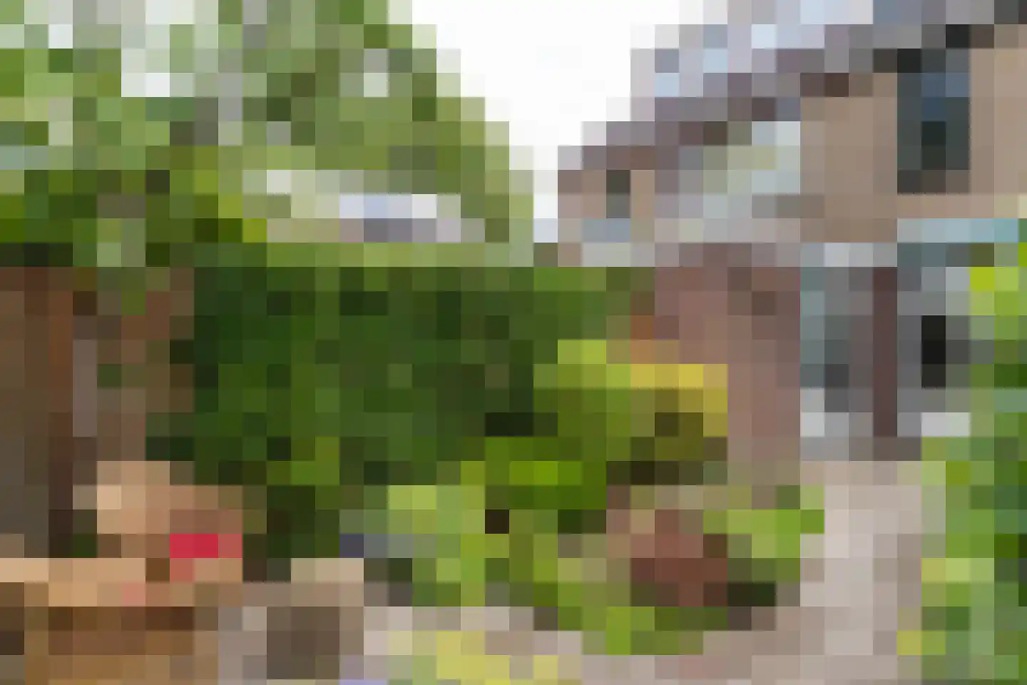 Ten Veldestraat 75 De Meern thumbnail 12