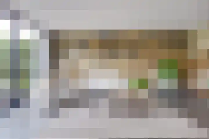 Ten Veldestraat 86 De Meern thumbnail 11