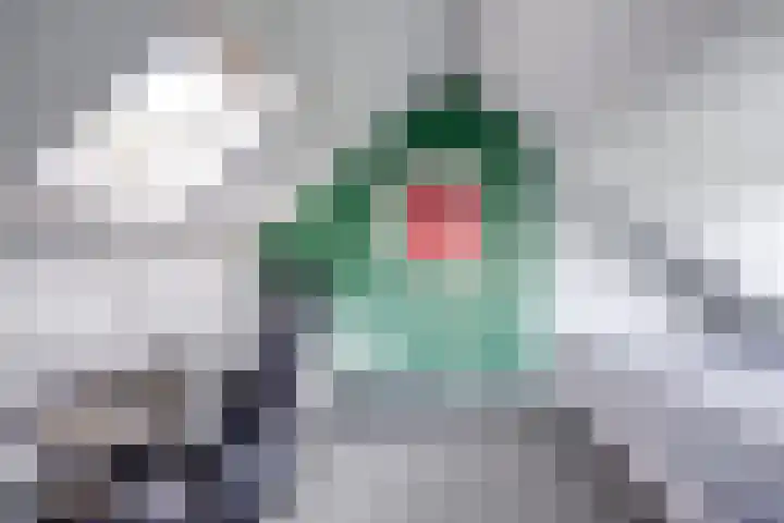 Ten Veldestraat 86 De Meern thumbnail 31