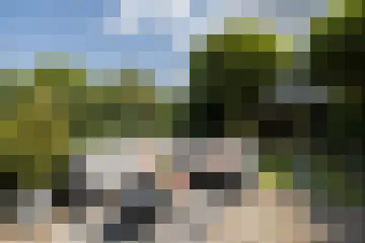 Ten Veldestraat 86 De Meern thumbnail 33