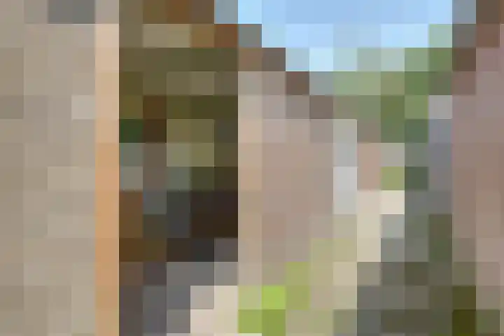 Ten Veldestraat 86 De Meern thumbnail 36