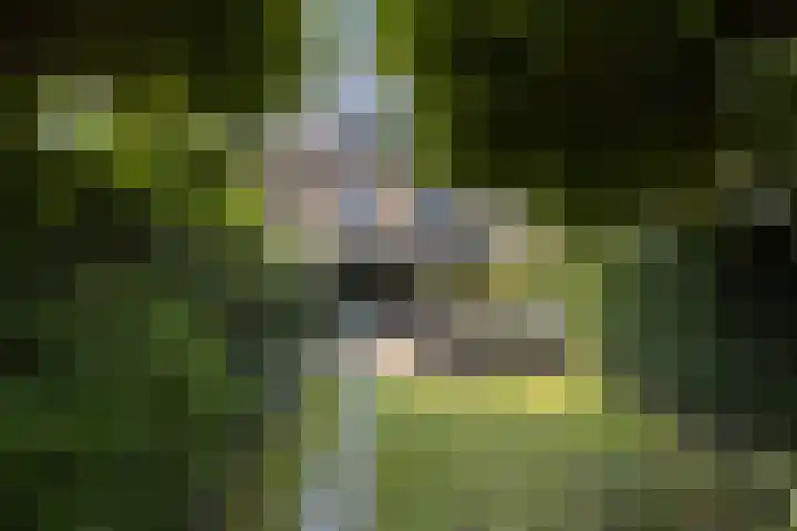 Ten Veldestraat 86 De Meern thumbnail 37