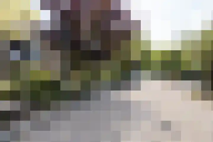 Ten Veldestraat 86 De Meern thumbnail 38