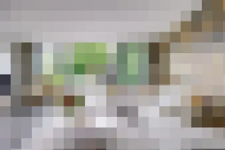 Ten Veldestraat 86 De Meern thumbnail 4
