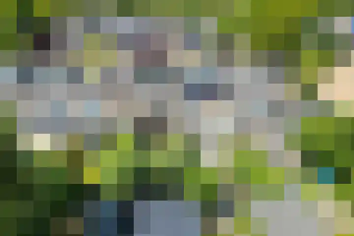 Ten Veldestraat 86 De Meern thumbnail 40