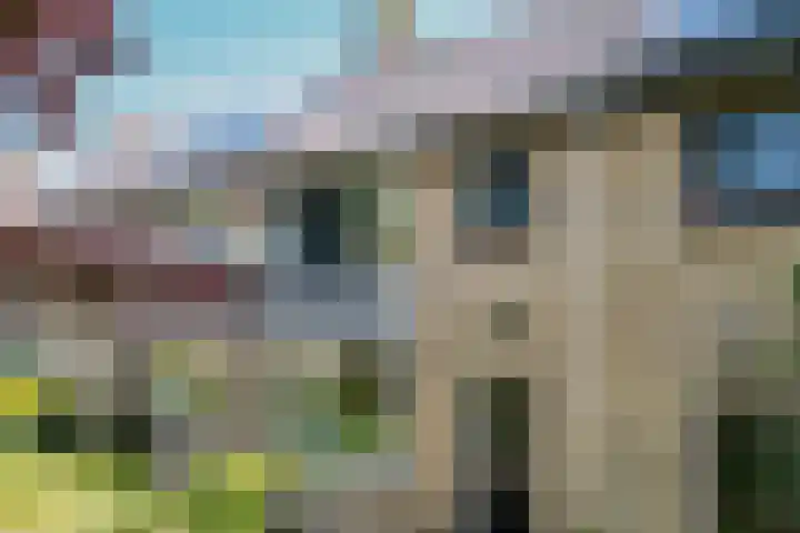 Ten Veldestraat 86 De Meern thumbnail 41