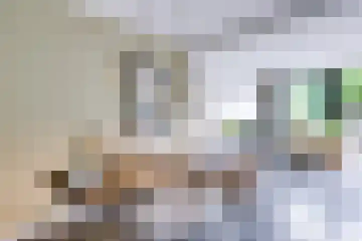 Ten Veldestraat 86 De Meern thumbnail 5