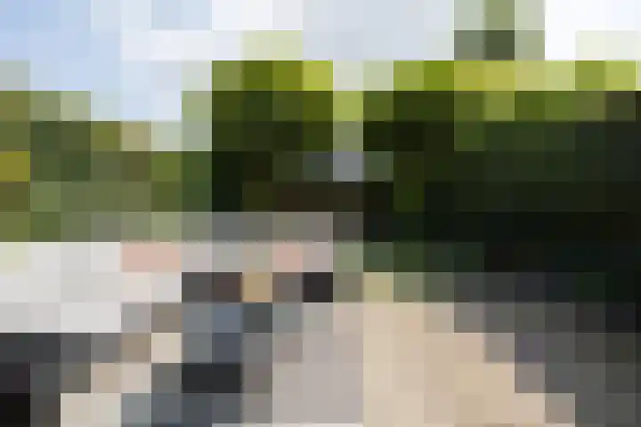Ten Veldestraat 86 De Meern thumbnail 8