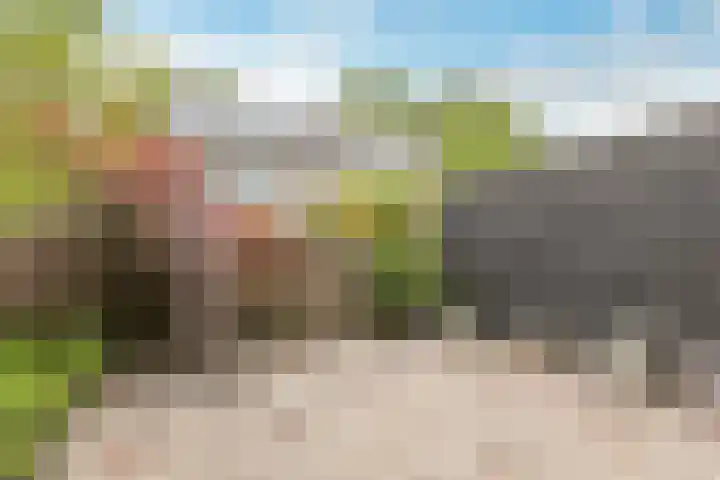 Ten Veldestraat 87 De Meern thumbnail 32