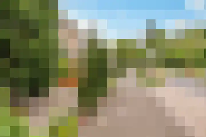 Ten Veldestraat 87 De Meern thumbnail 41