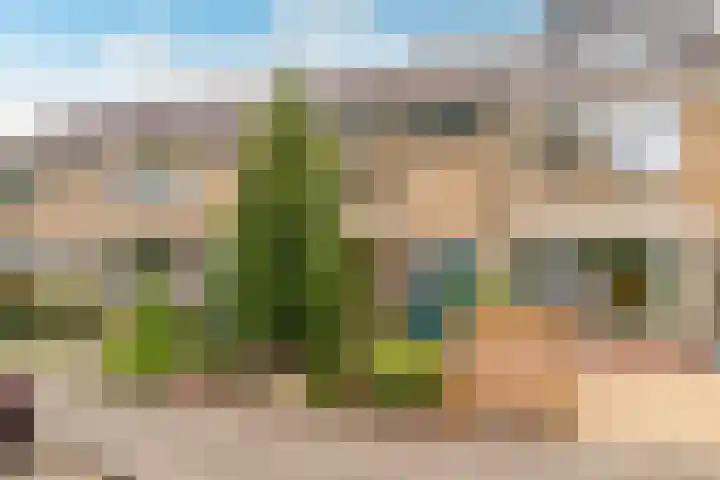 Ten Veldestraat 87 De Meern thumbnail 47