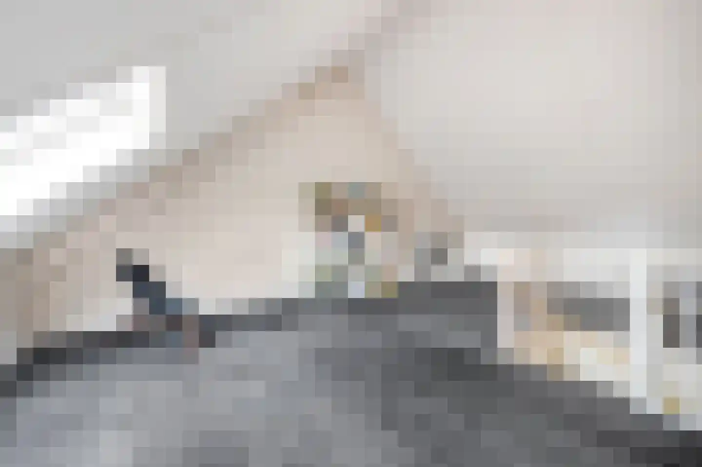 Ten Veldhuize 35 Heerde thumbnail 32