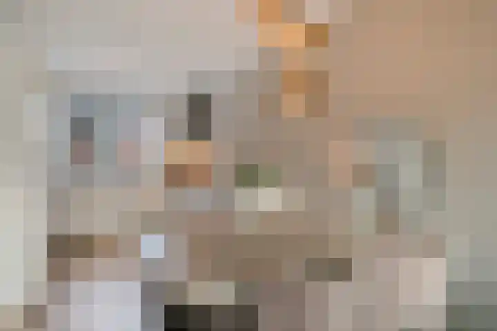Ten Veldhuize 39 Heerde thumbnail 11