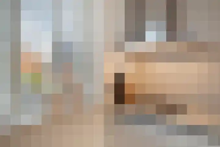 Ten Veldhuize 39 Heerde thumbnail 13