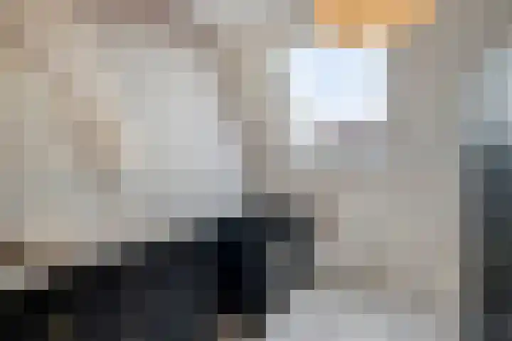 Ten Veldhuize 39 Heerde thumbnail 20