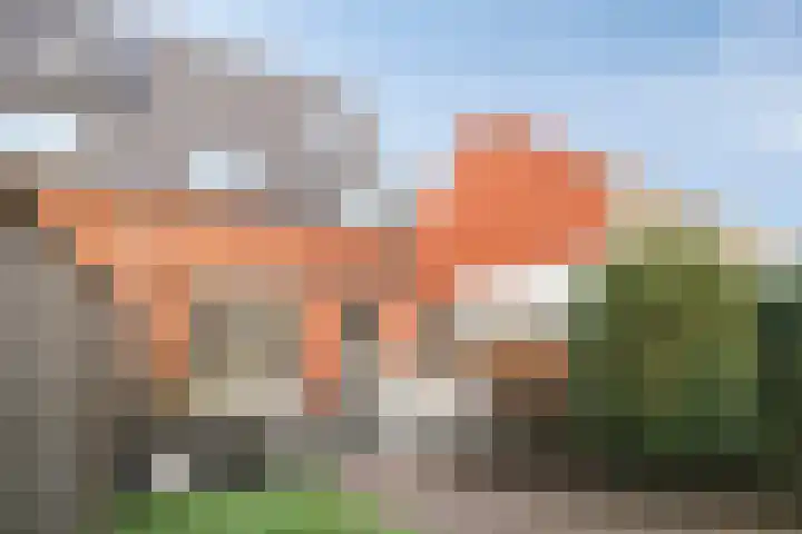 Ten Veldhuize 39 Heerde thumbnail 31