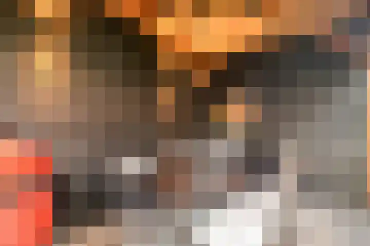 Ten Veldhuize 39 Heerde thumbnail 34