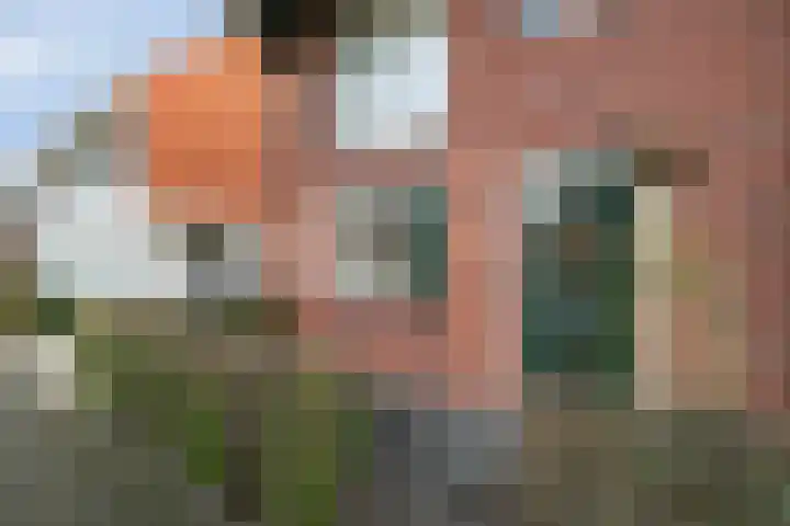 Ten Veldhuize 39 Heerde thumbnail 38