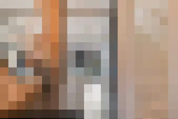 Ten Veldhuize 39 Heerde thumbnail 4