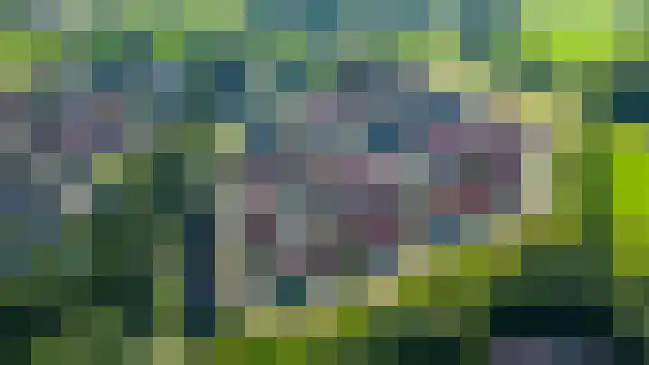 Ten Veldhuize 39 Heerde thumbnail 40
