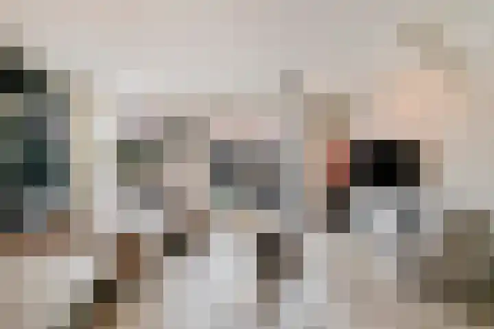 Ten Veldhuize 39 Heerde thumbnail 7