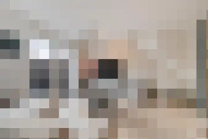 Ten Veldhuize 39 Heerde thumbnail 8
