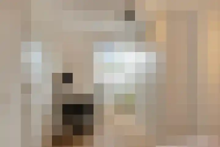 Ten Veldhuize 55 Heerde thumbnail 31