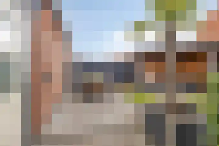 Ten Veldhuize 55 Heerde thumbnail 34