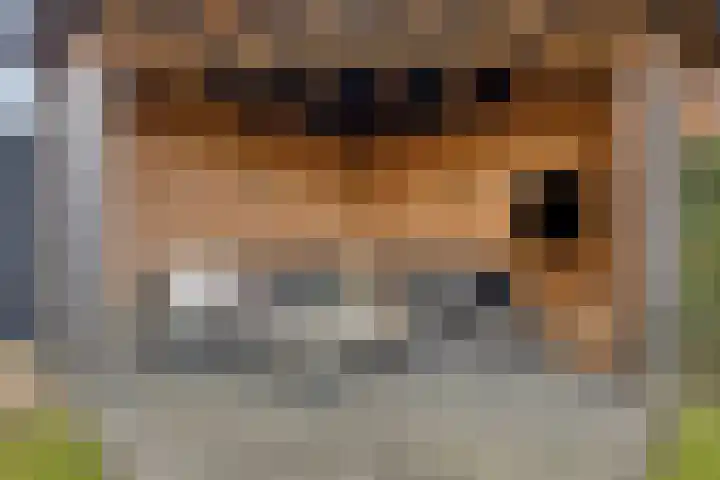 Ten Veldhuize 55 Heerde thumbnail 35