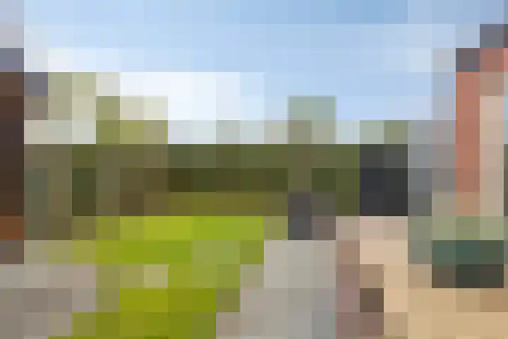 Ten Veldhuize 55 Heerde thumbnail 36