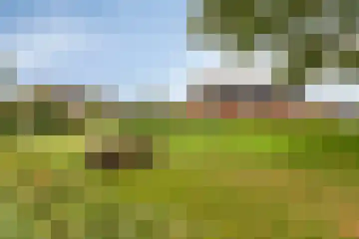 Ten Veldhuize 55 Heerde thumbnail 39