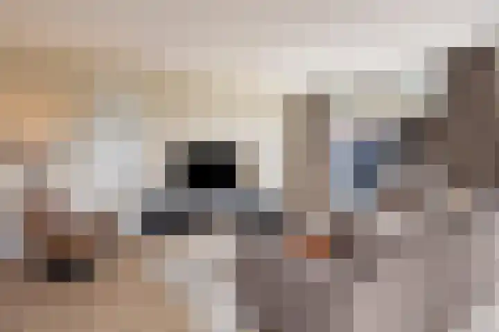Ten Veldhuize 55 Heerde thumbnail 8