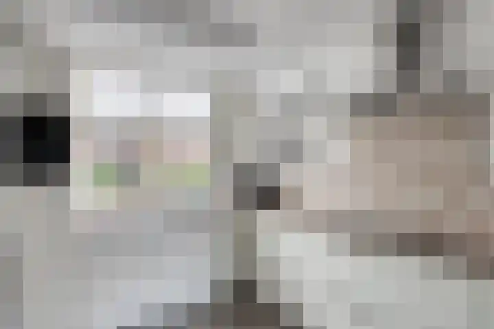 Ten Veldhuize 72 Heerde thumbnail 10