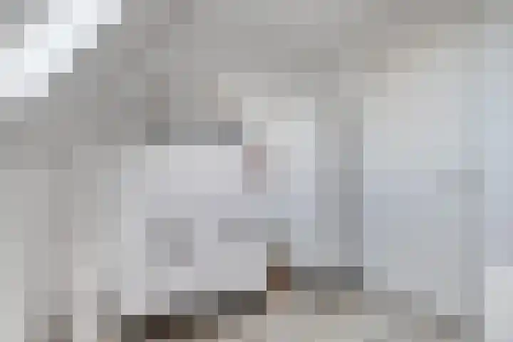 Ten Veldhuize 72 Heerde thumbnail 21