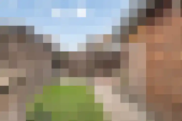 Ten Veldhuize 72 Heerde thumbnail 28