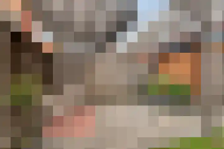 Ten Veldhuize 72 Heerde thumbnail 29