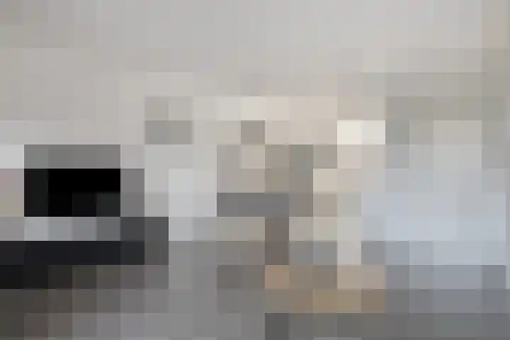 Ten Veldhuize 72 Heerde thumbnail 5
