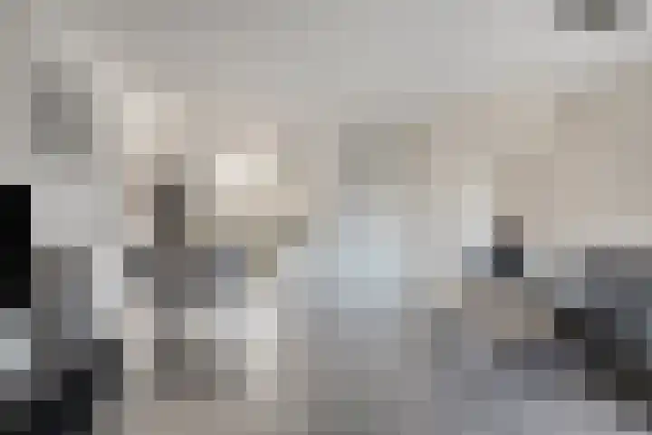 Ten Veldhuize 72 Heerde thumbnail 6