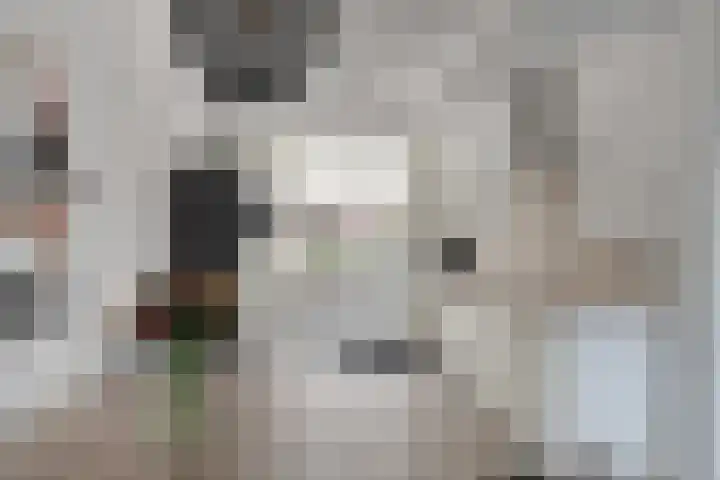 Ten Veldhuize 72 Heerde thumbnail 7