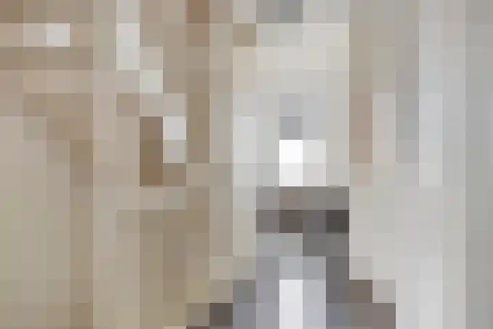 Ten Veldhuize 8 Heerde thumbnail 13